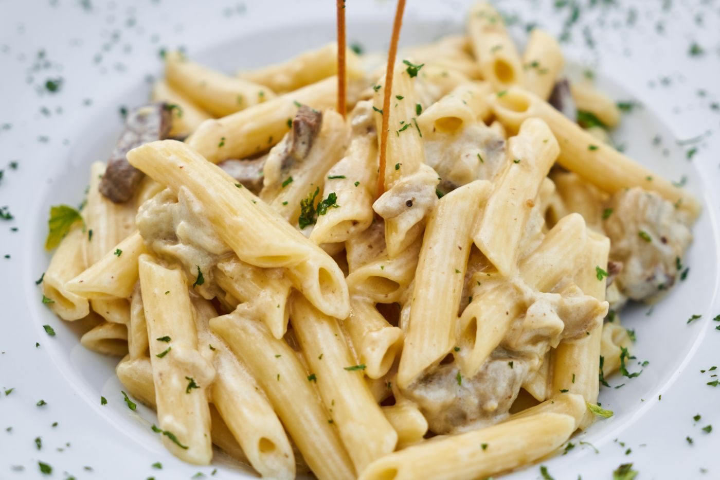 Penne pasta coated in a creamy sauce